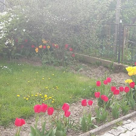 Alom Kucko Apartman Zalaegerszeg Luaran gambar