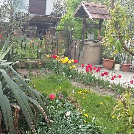 Alom Kucko Apartman Zalaegerszeg Luaran gambar