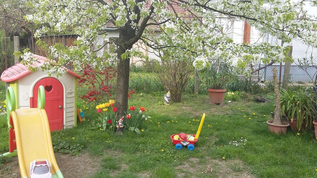 Alom Kucko Apartman Zalaegerszeg Luaran gambar