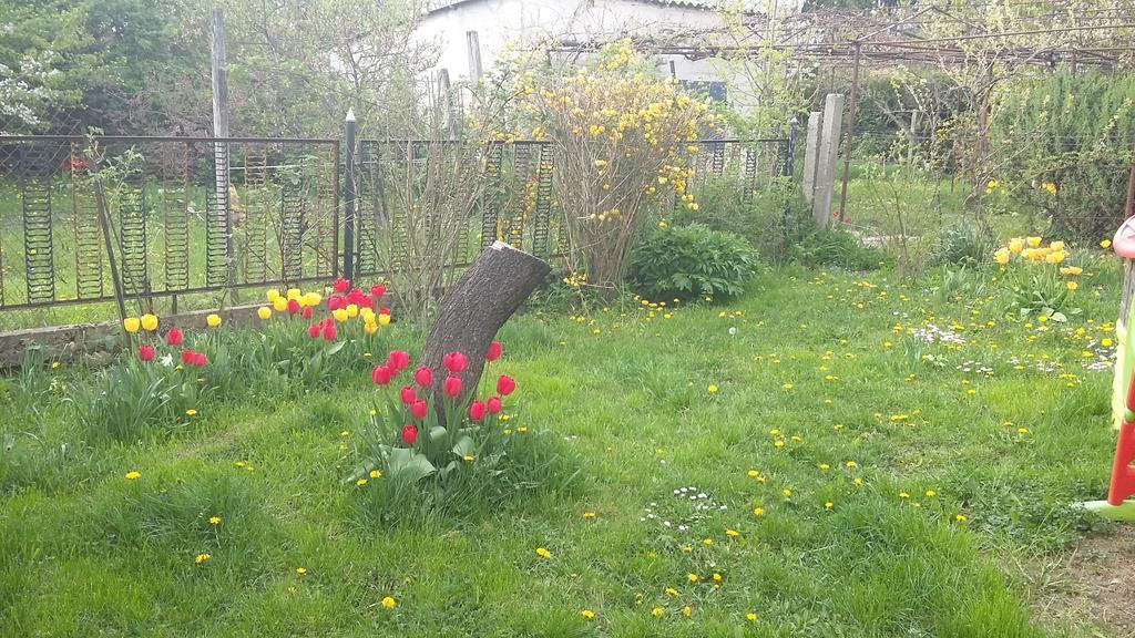 Alom Kucko Apartman Zalaegerszeg Luaran gambar