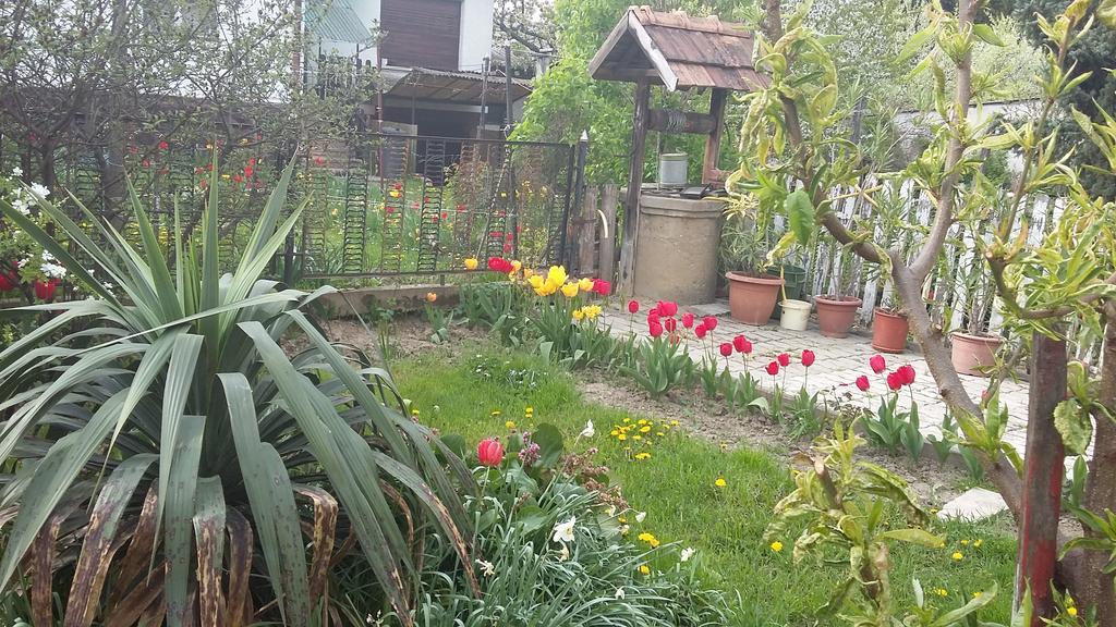 Alom Kucko Apartman Zalaegerszeg Luaran gambar